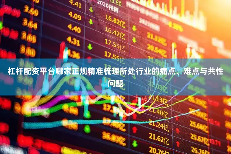 杠杆配资平台哪家正规精准梳理所处行业的痛点、难点与共性问题