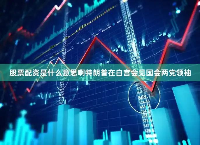 股票配资是什么意思啊特朗普在白宫会见国会两党领袖